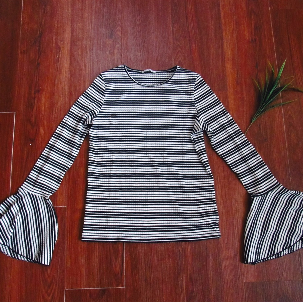 Zara Trafaluc Collection